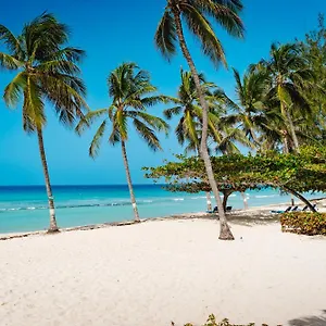 Coconut Court Barbados